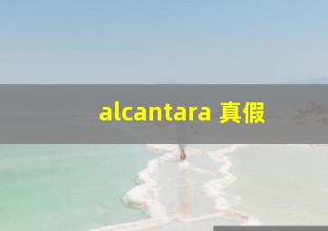 alcantara 真假